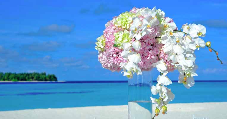 What Are the Best Flowers For a Beach Wedding?