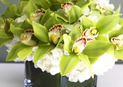 A floral arrangement consisting of green orchids with a maroon and white center, accompanied by clusters of white flowers.