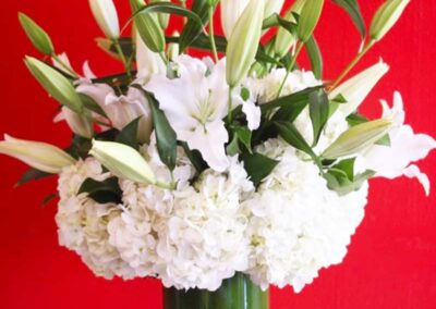 Modern floral arrangement with white lilies and hydrangeas in a green vase against a red background, suitable for any event.
