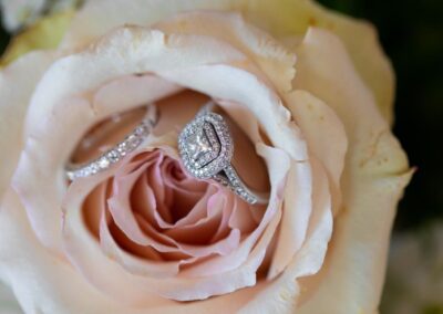 Wedding rings on a beautiful pink rose